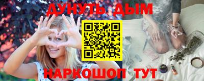 стаф Новокубанск
