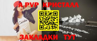 стаф Новокубанск
